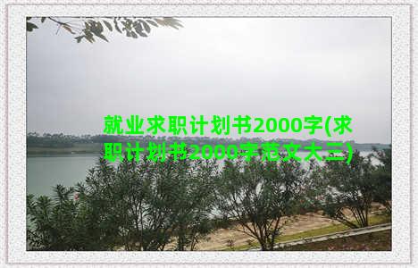 就业求职计划书2000字(求职计划书2000字范文大三)