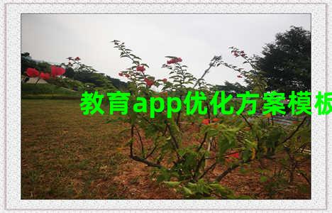 教育app优化方案模板