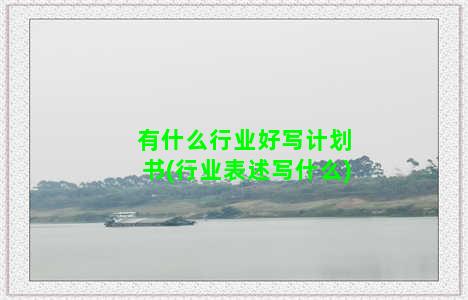 有什么行业好写计划书(行业表述写什么)