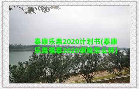 泰康乐惠2020计划书(泰康乐惠福泰2020保险怎么样)