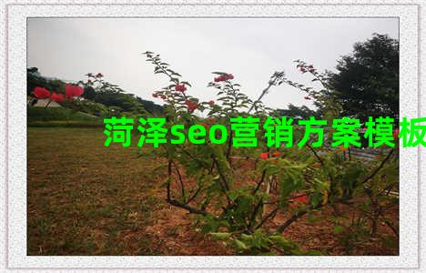 菏泽seo营销方案模板